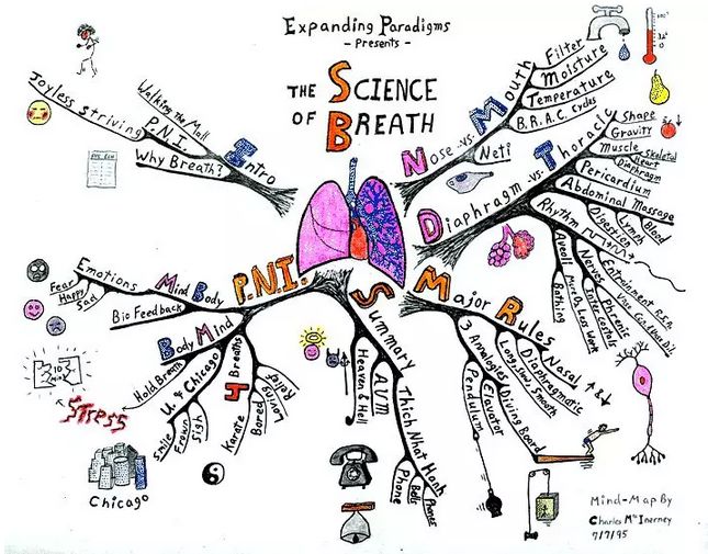 (用思维导图学习肺和呼吸学)