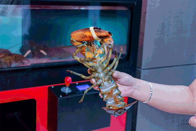 魔都这家自助餐竟然有一台龙虾娃娃机超大个龙虾抓到就白送