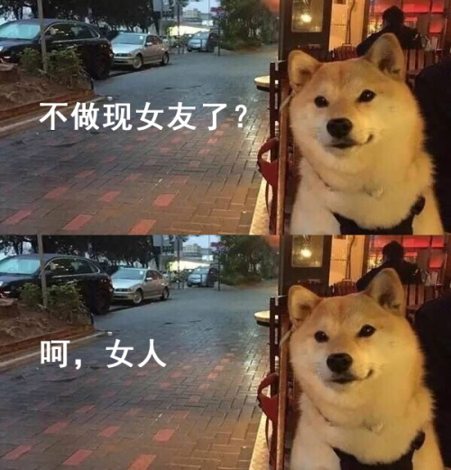 挑选优质好狗粮,请看这三点 挑选优质好狗粮,请看这三点