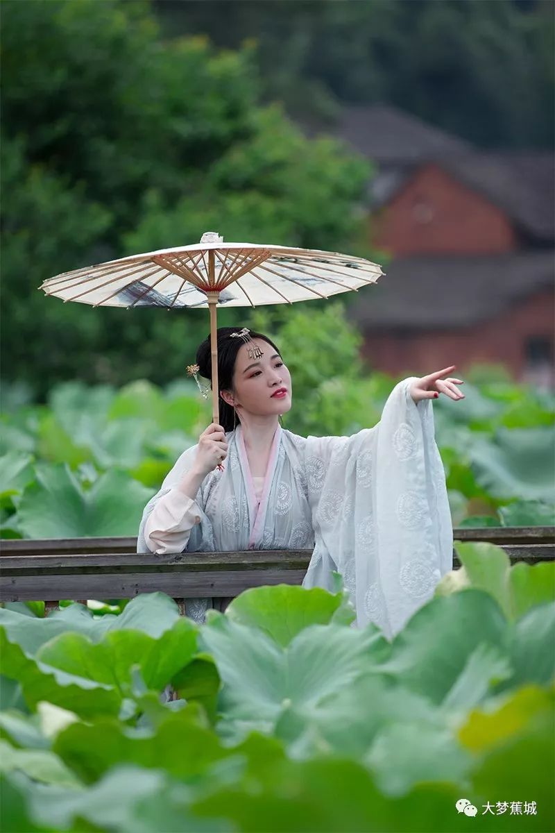 这个七夕,仙女到人间!荷花池畔等情郎,难道她就是七仙女