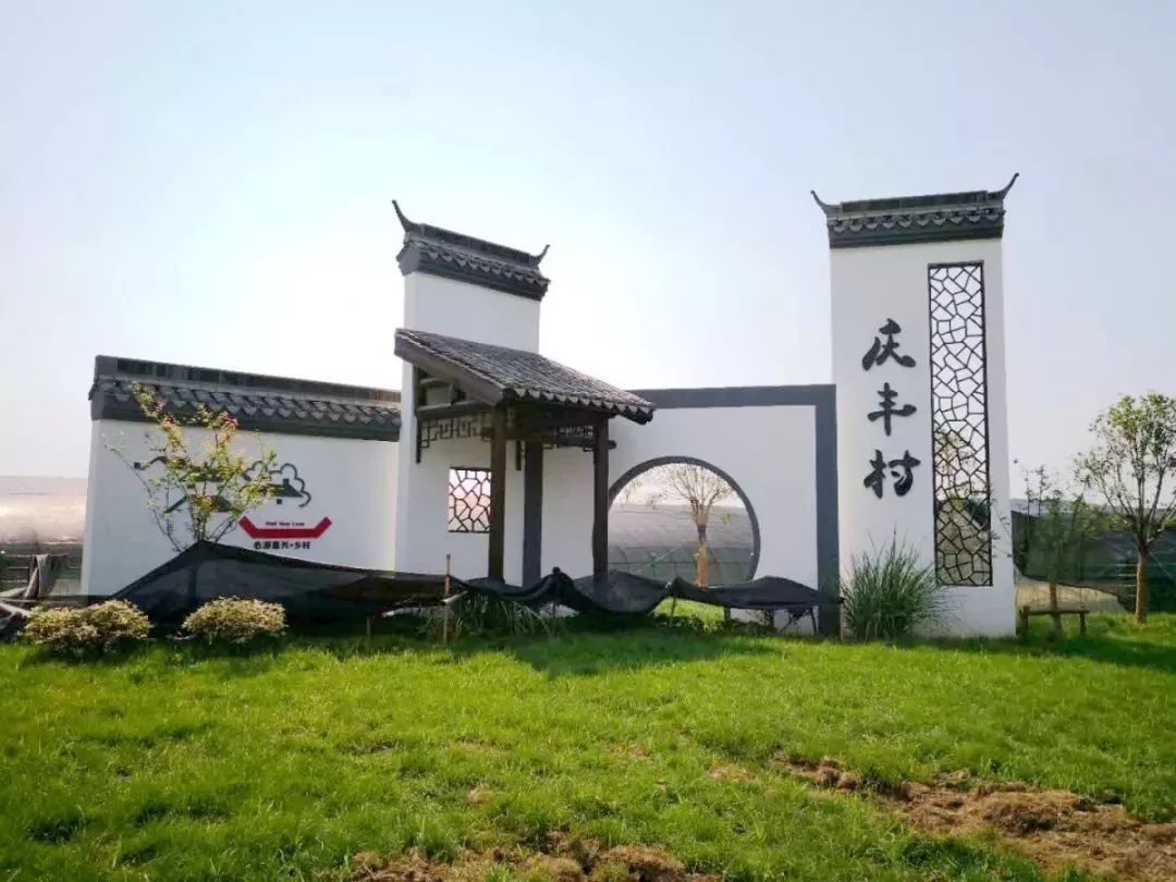 法治乡村建设专题】凝聚"三治"合力,打造"两美"小村—王店镇庆丰村