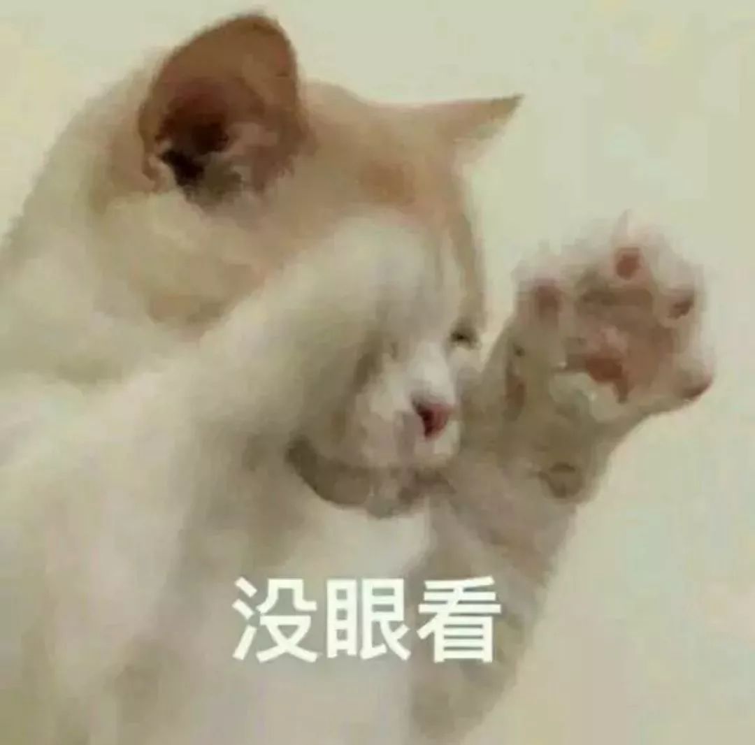 621849563b3b4290b21b38bc0e0e5b9c.jpeg