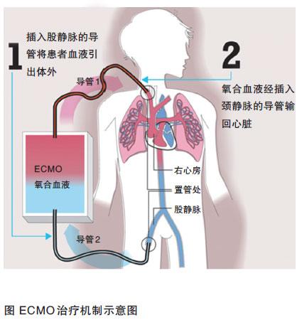 乙肝病人口水接触到我的伤口_乙肝病人肝病面容图片(2)