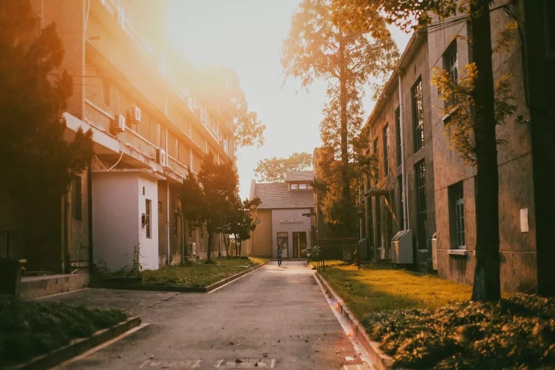 中国美术学院在哪上学 6951d76e53584c1cb0a6c8c619657d35.jpeg