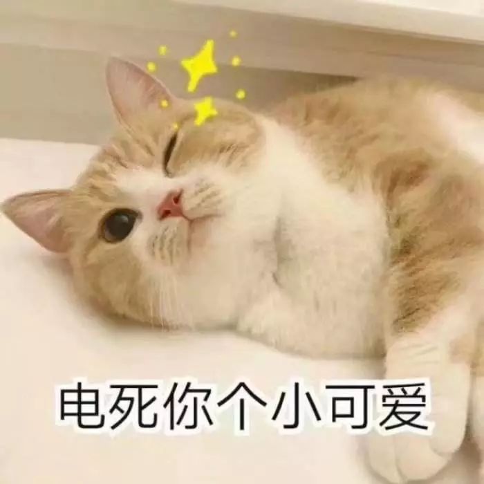 怎样才能可爱的撒娇 69f207a54b4c450198f6e97401ad7eba.jpeg