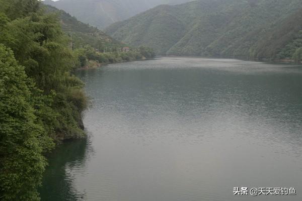 73d6d12663ca4788939d8e890292de64.jpeg