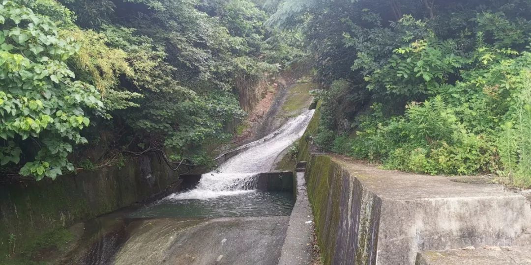 我市举行防御今年9号台风工作会议,抗台舟山