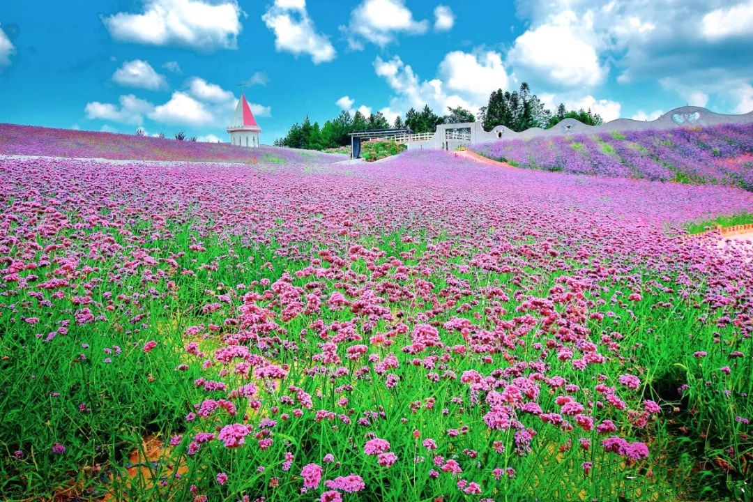 旅行分享-最美仙境!美过仙本那!夏季去最合适