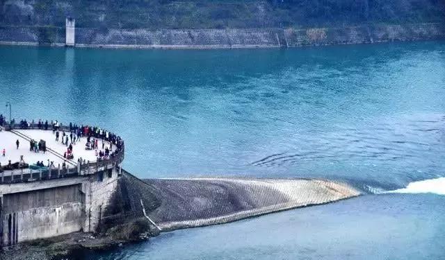 三峡大坝那么大那么深,里面生长的鱼怎么办?永远不打捞吗?