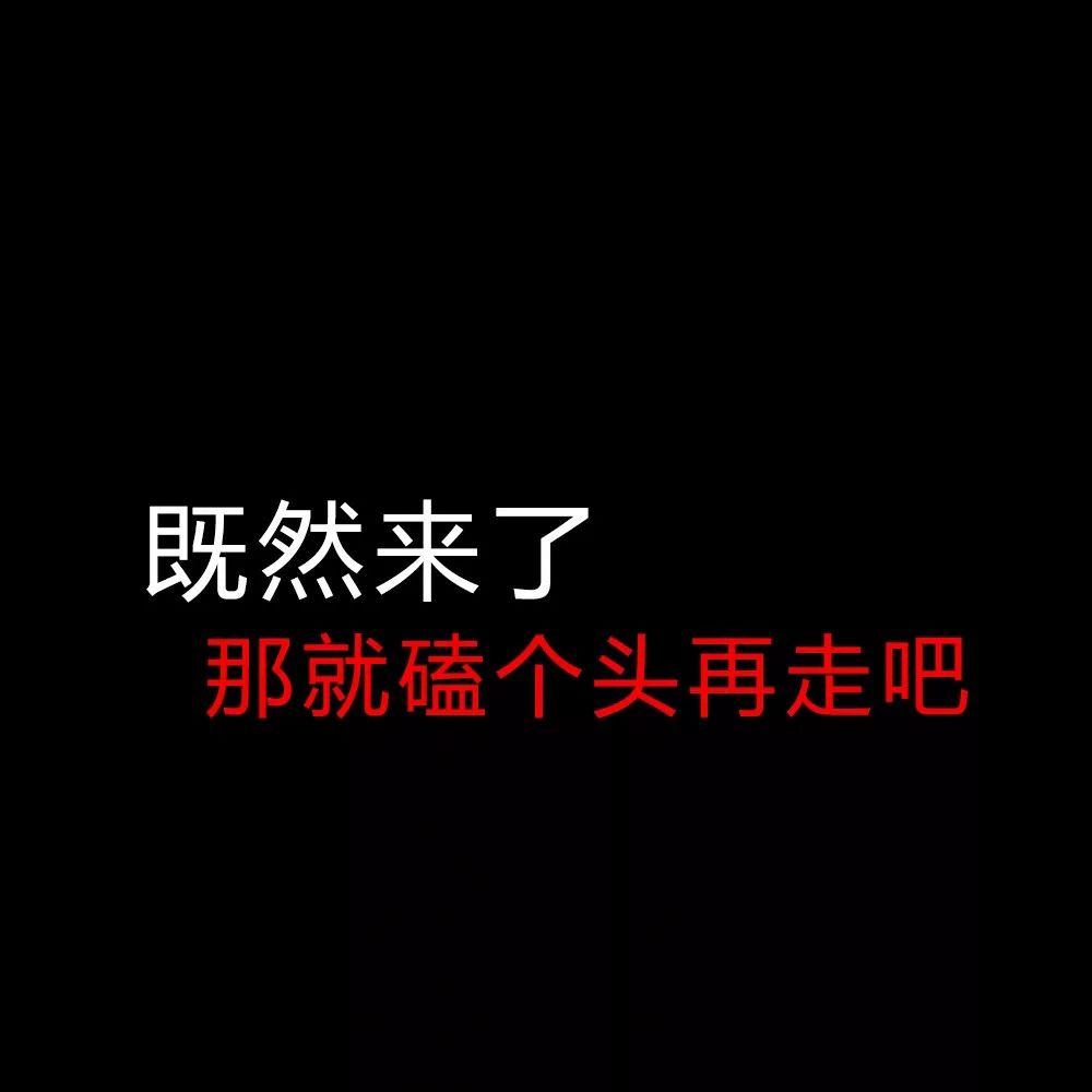 沙雕背景图:笑到头秃哈哈哈