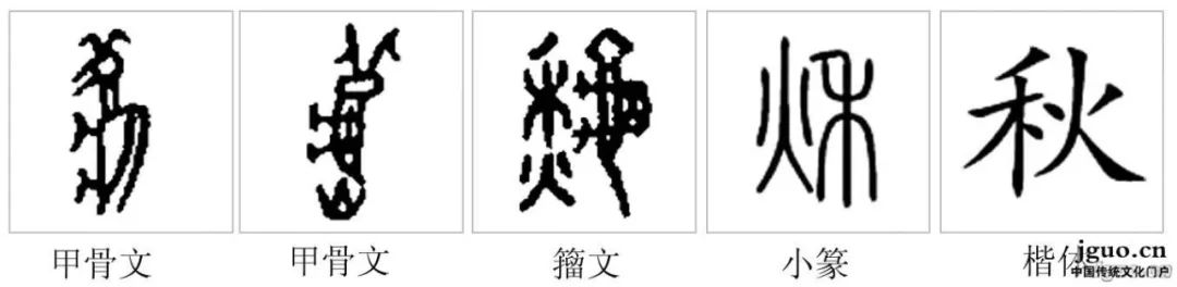 甲骨文里的"秋"字,形态好像一只蟋蟀(又名秋虫),古人借"虫以鸣秋"来