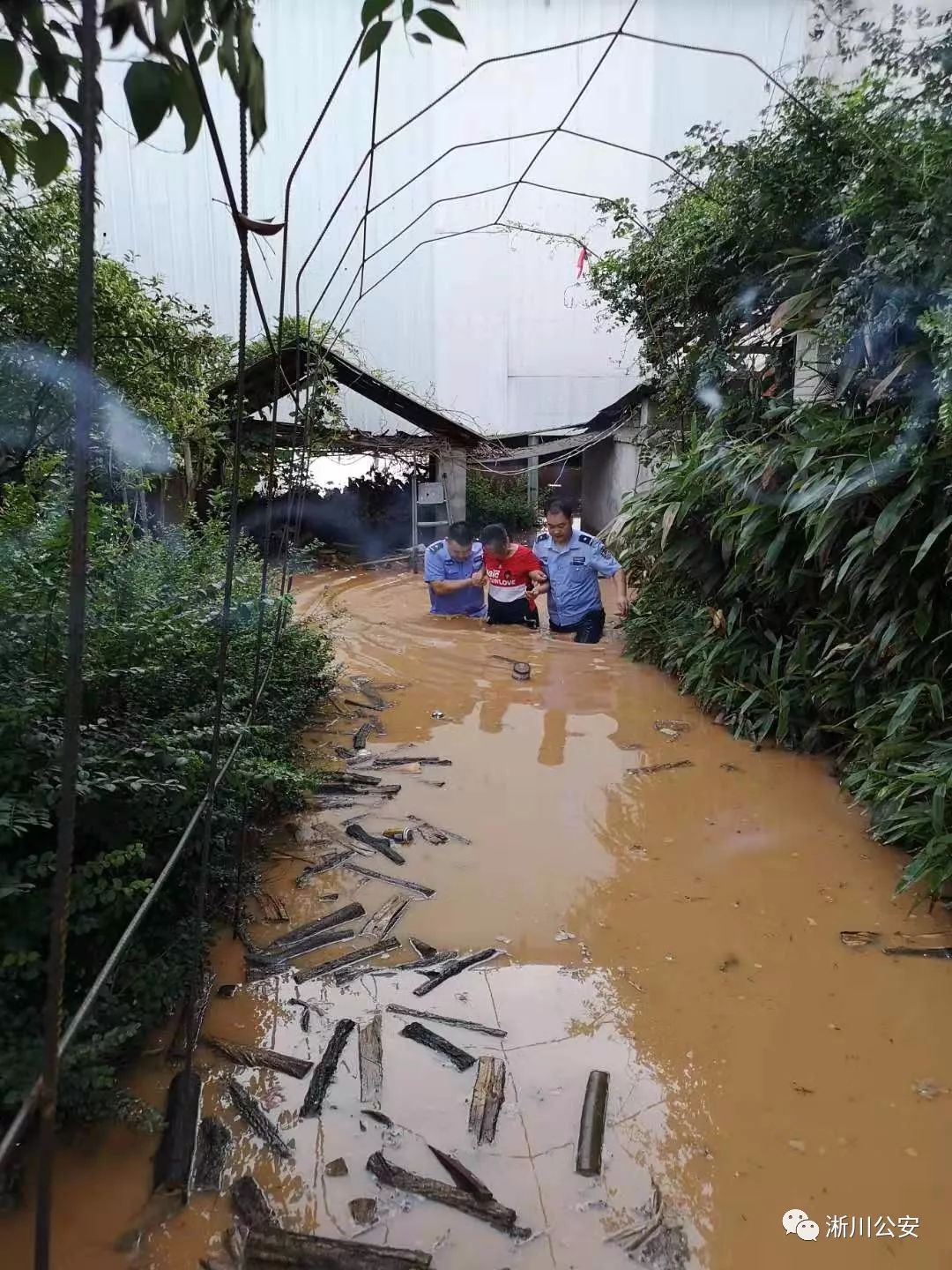 淅川的人口_淅川牛尾山图片