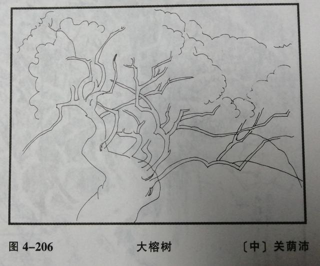 《大榕树》的速写步骤