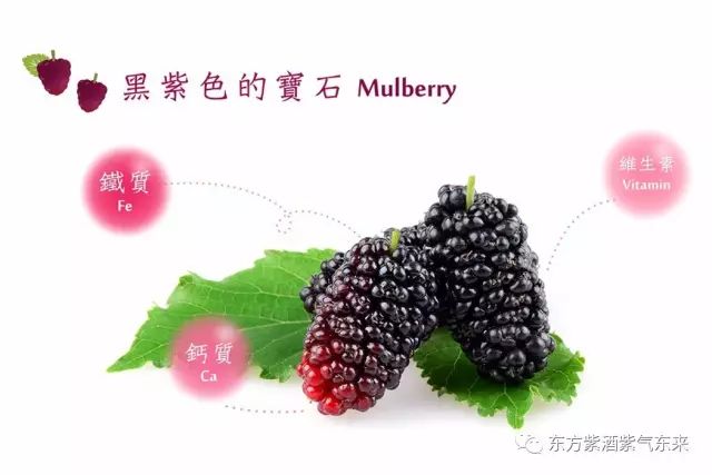 生津止渴的药物是 a34e7059f95b46e3bc8f9aa32a7982a8.jpeg