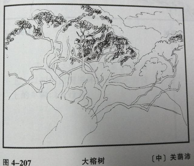 《大榕树》的速写步骤