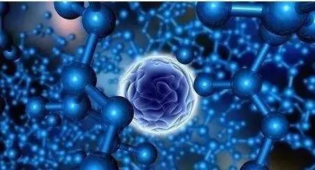 自由基怎么导致细胞衰老 a5904e7cc46e47a18c7a35c31af9d990.jpeg