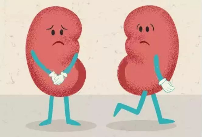 肾结石是哪里痛什么症状 ac712fc034634ee994f85d1f93883240.jpeg