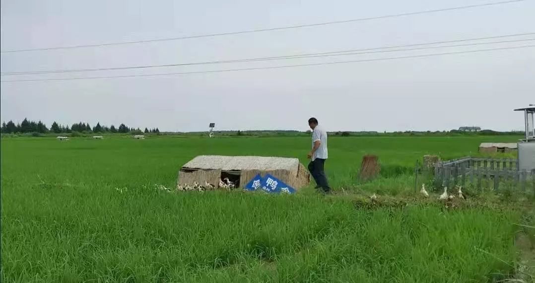 虎林gdp_鸡西市人民zf网站(2)