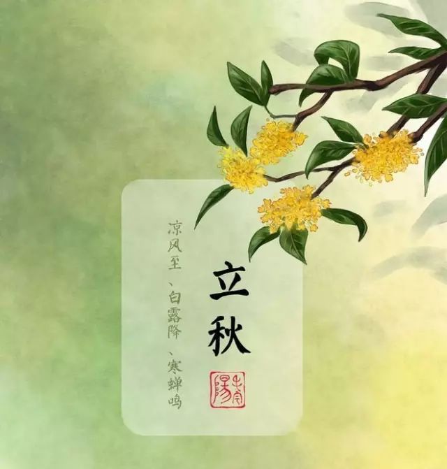 立秋| 人间好时节,八月逢立秋