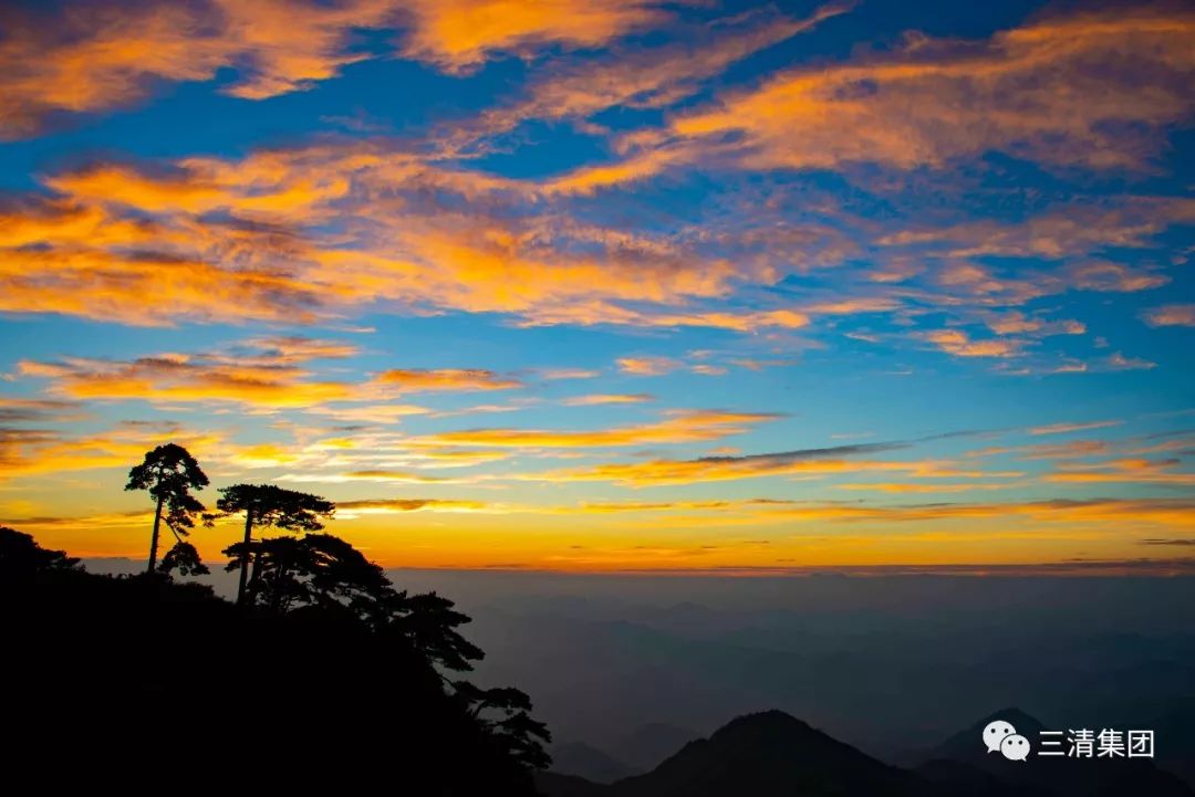 三清山 日出雾露馀,青松如膏沐
