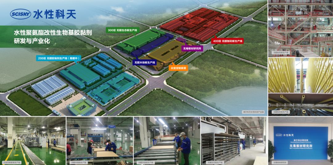 广西2020巴马经济总量_广西巴马图片(2)