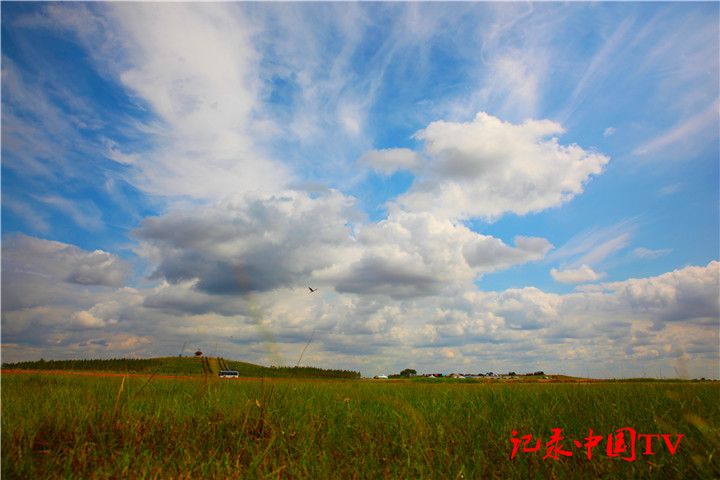 c081704ac34f4b81a7496b8081bbc8c6.jpeg