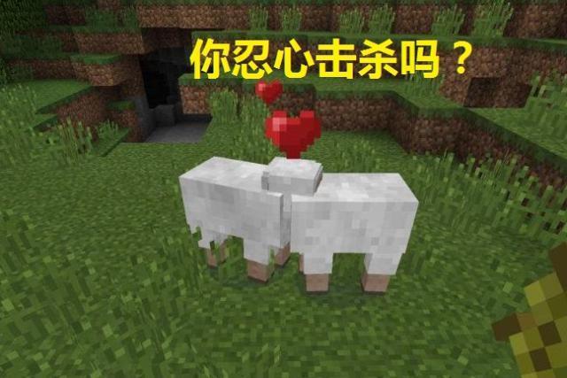 ca1a209cccd444918ec547abf1e09477.jpeg