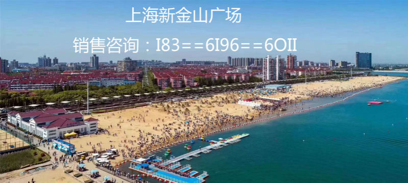 上海新金山广场,相信独具慧眼的您会选择就会赚仅此一