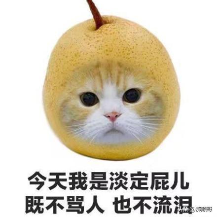 如何才能让自己不哭 dc33ee7d32524f58a2cc01d88ba6c9d8.jpeg