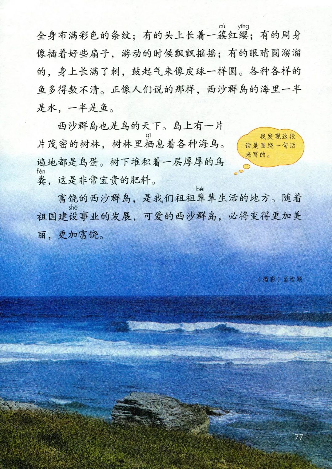 成语文什么书_语文书