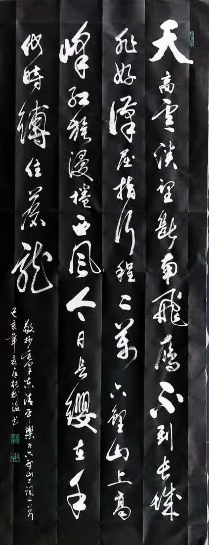 中国著名书法家张树海作品欣赏