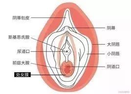 文章配图-17