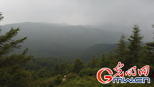 旅游产业续写苏木山人工林场绿色传奇 凯发体育体育投注