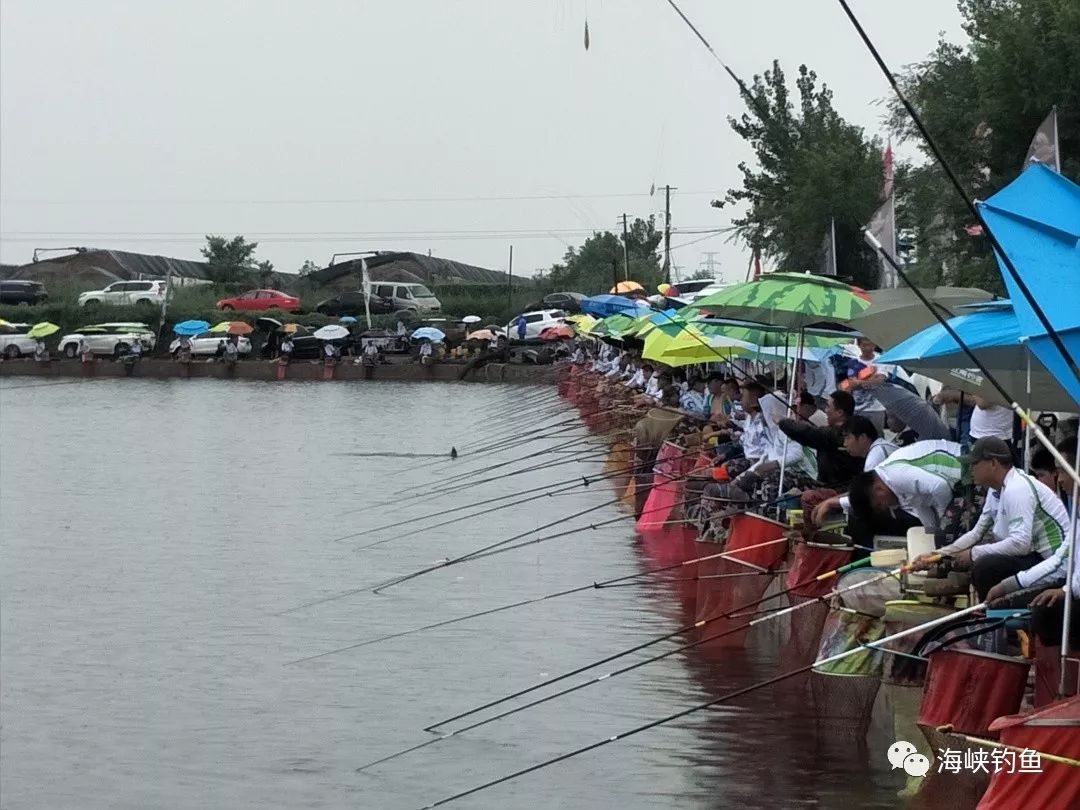 八月中华垂钓大赛燃情天津静海花园