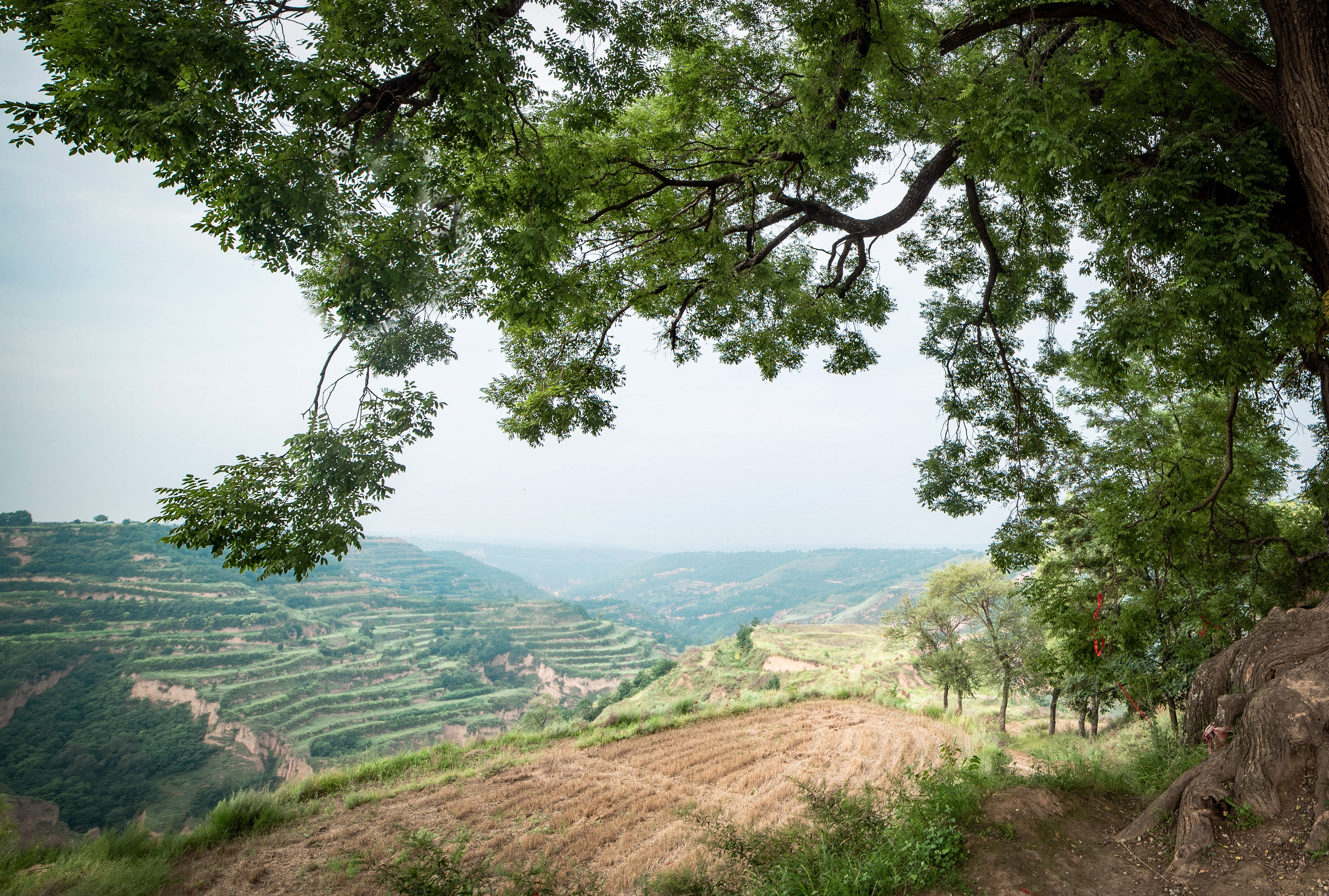 庄山浪水，34年愚公移山出来的风景