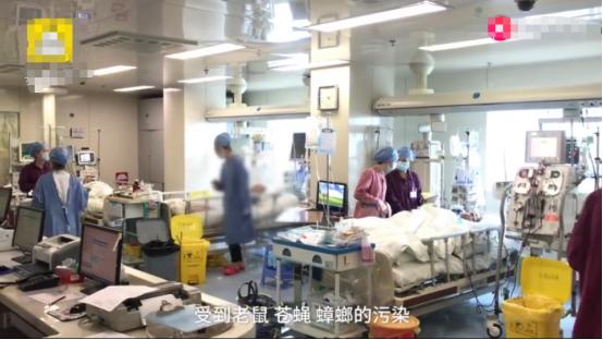                     母子先后吃隔夜菜送医院，母亲抢救无效死亡，网友：什么菜这么毒