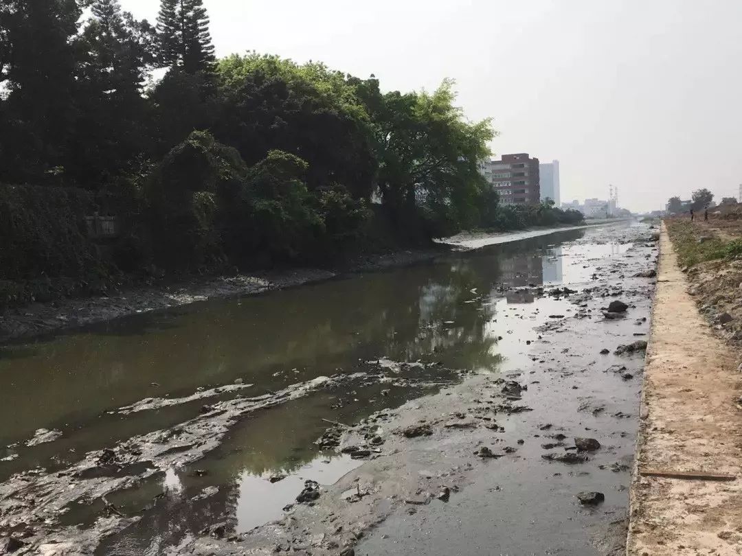 黑臭河涌大变样番禺持续升级改造