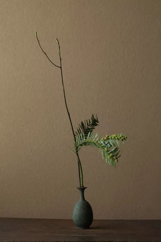 来自日本花艺师川濑敏郎的插花作品,将禅意插花的精髓掌握得精准.