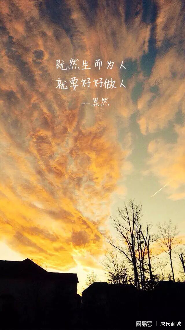 为什么说中国社会关系复杂,中西方差异过大,如