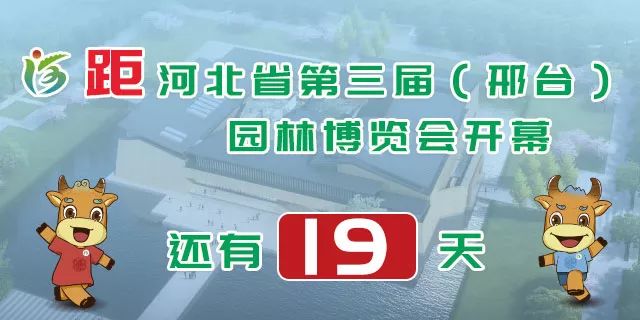 临城招聘_临高县将举办 文澜之星 跨年招聘活动(5)