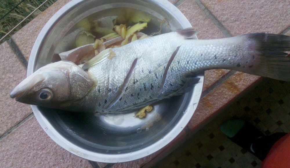                     原创            想生出大眼睛、漂亮聪明的宝宝，孕期要多吃这些食物