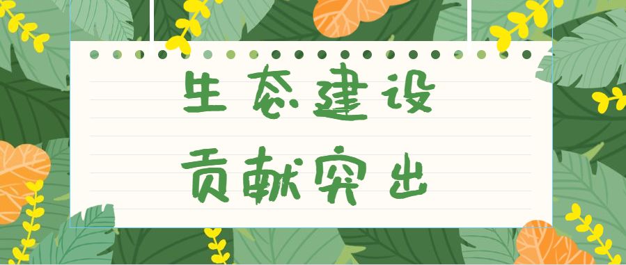 27年来,因对青山的执着,他一直战斗在生态建设的战线上,为天柱县的