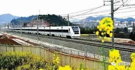 几个月可以坐动车 2866b919546549b1b8a35d78e2200a2b.jpeg