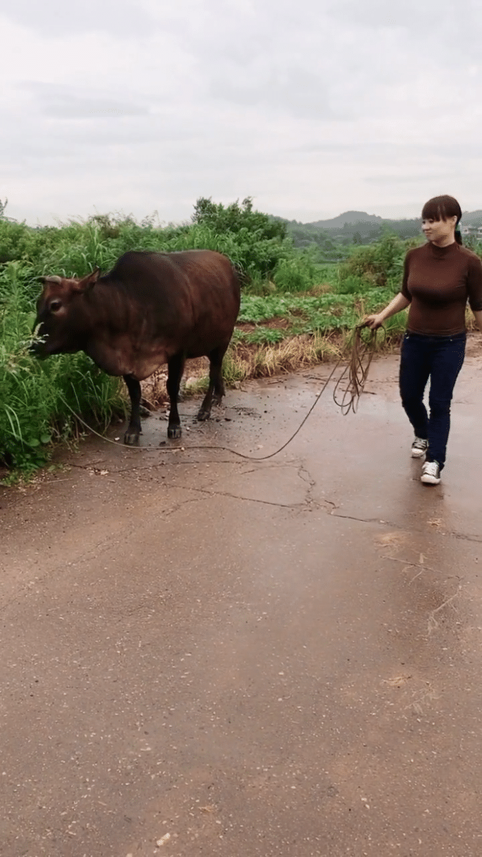 时尚摄影:乡下放牛的辣妈穿上紧身裤,看起来很有女人味