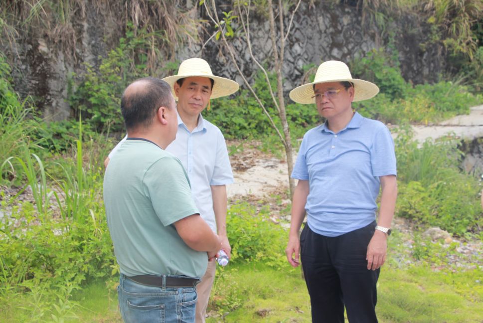 干好每一天三明市政府党组成员陈瑞喜调研万寿岩文旅服务项目启动情况