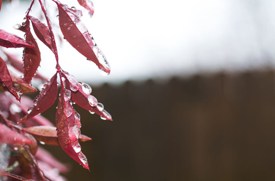 在正安,感觉还没好好热一场,秋天就来了