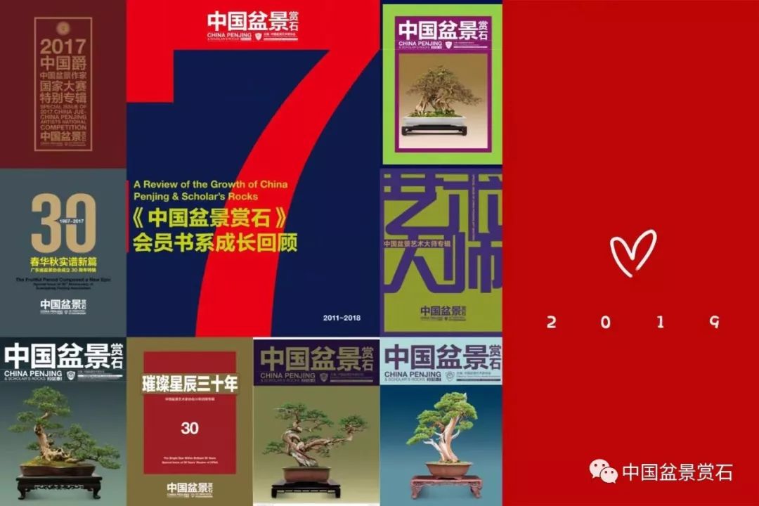 中国古今名石简谱——大化石