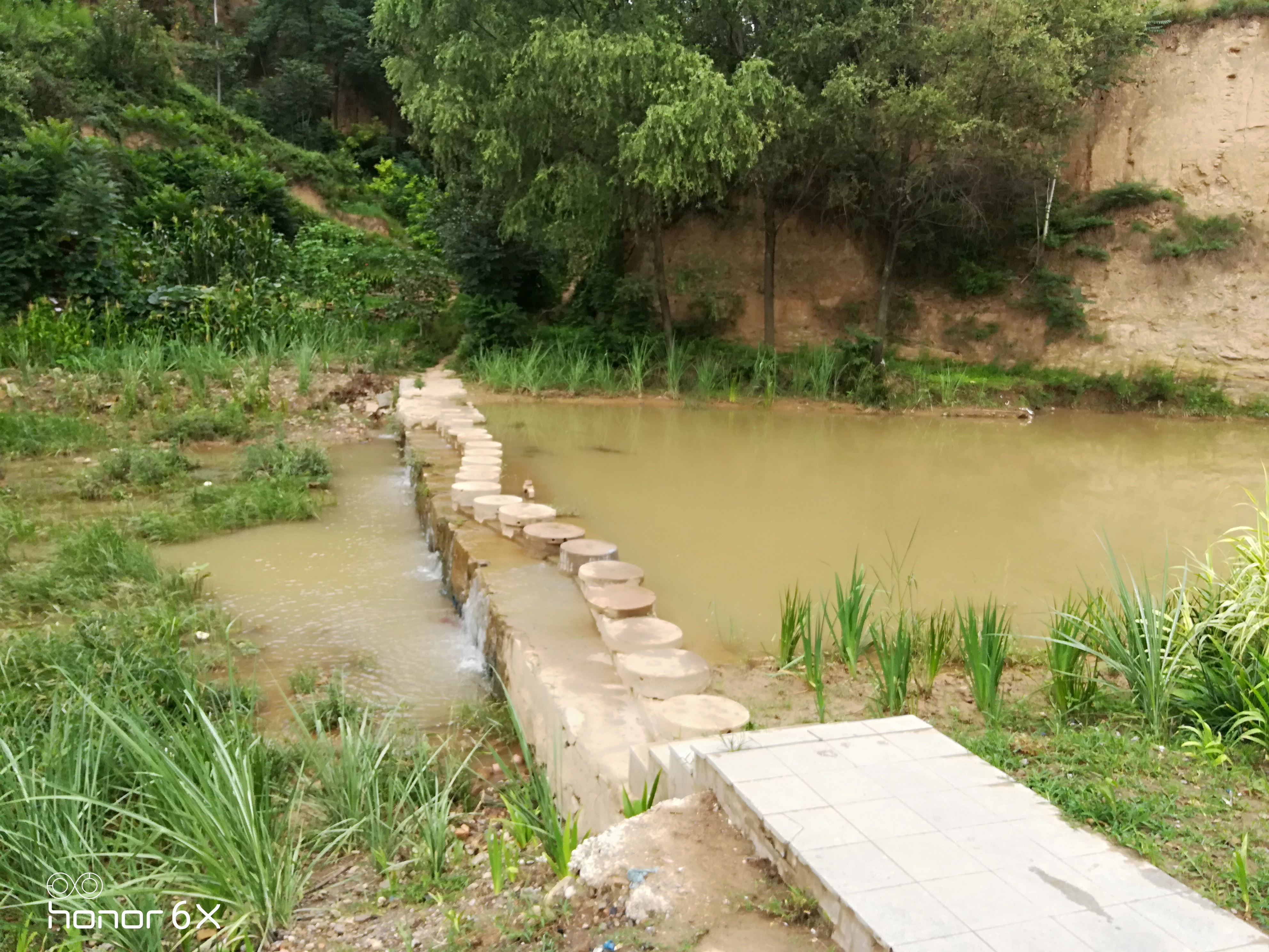 陕西铜川:王家河湿地公园的夏季风景