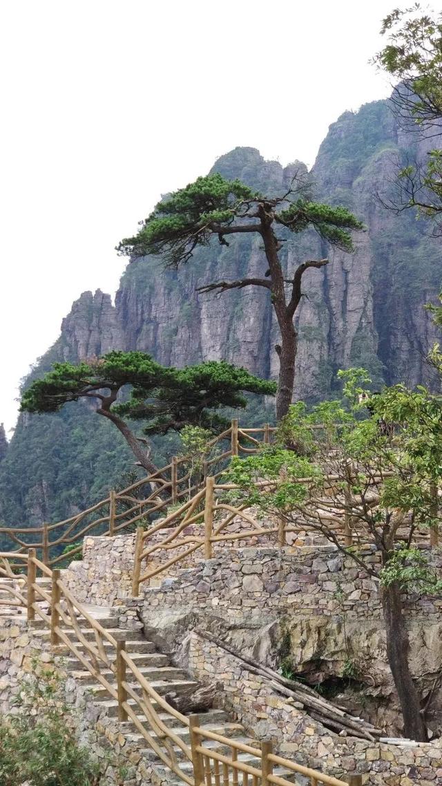 平南北帝山玻璃栈道竣工在望!年休假期快来景区打卡