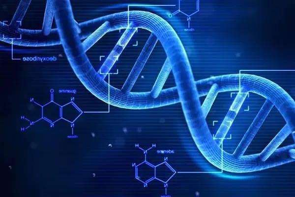 优质蛋白有哪一些 3d827eac074c4c48bcdeddcb09f70077.jpeg